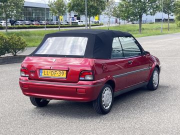 Rover 100